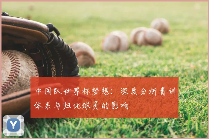中国队世界杯梦想：深度分析青训体系与归化球员的影响