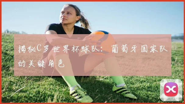 揭秘C罗世界杯球队：葡萄牙国家队的关键角色
