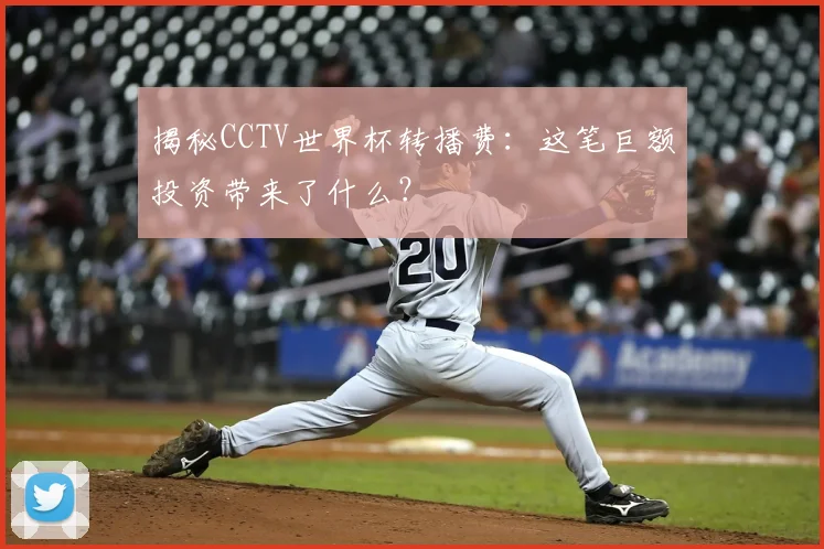 揭秘CCTV世界杯转播费：这笔巨额投资带来了什么？