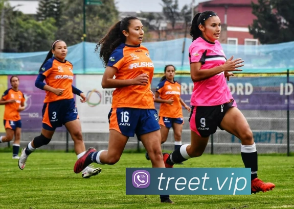 多彩内容专区